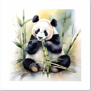 Panda Bear Study Posters and Art